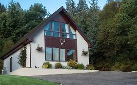 Lann Dearg Studios